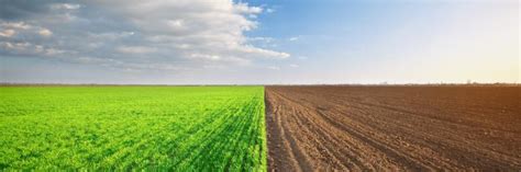 Migrating to the Cloud: Choosing between Greenfield .